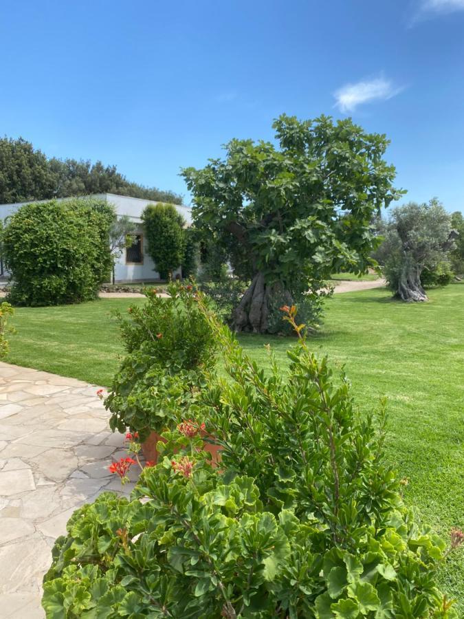 Casa Anna, Agriturismo Alla Castellana Gallipoli Luaran gambar